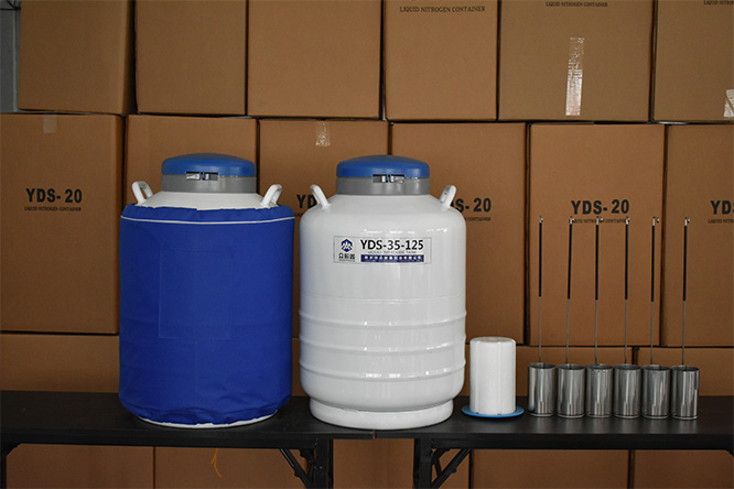 Package of theL container